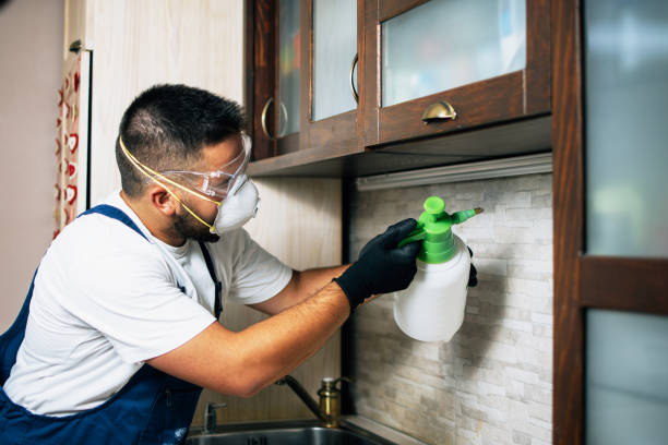 Best Ant Control Services  in North Branch, MI