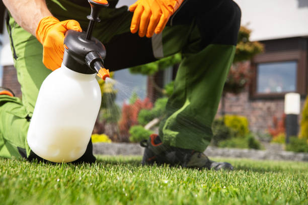 Best Affordable Pest Control Services  in North Branch, MI