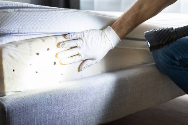 Best Exterminator Services  in North Branch, MI