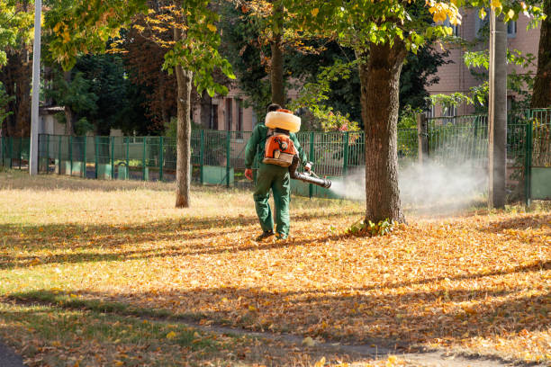 Best Emergency Pest Control  in North Branch, MI