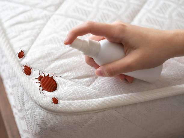 Best Pest Prevention Services  in North Branch, MI