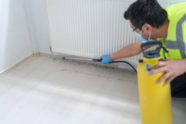 Best Cockroach Control Services  in North Branch, MI