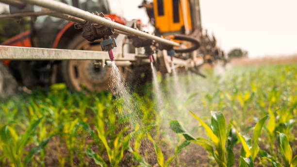 Best Commercial Pest Control Services  in North Branch, MI