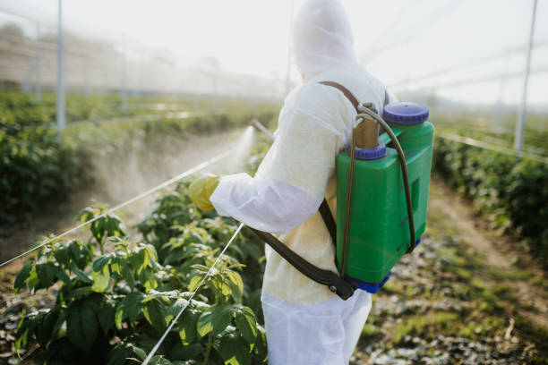 Best Residential Pest Control  in North Branch, MI